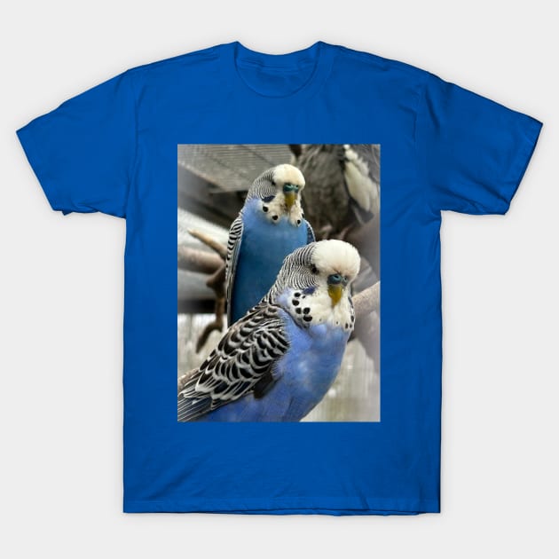 Blue Budgies T-Shirt by MrTiggersShop